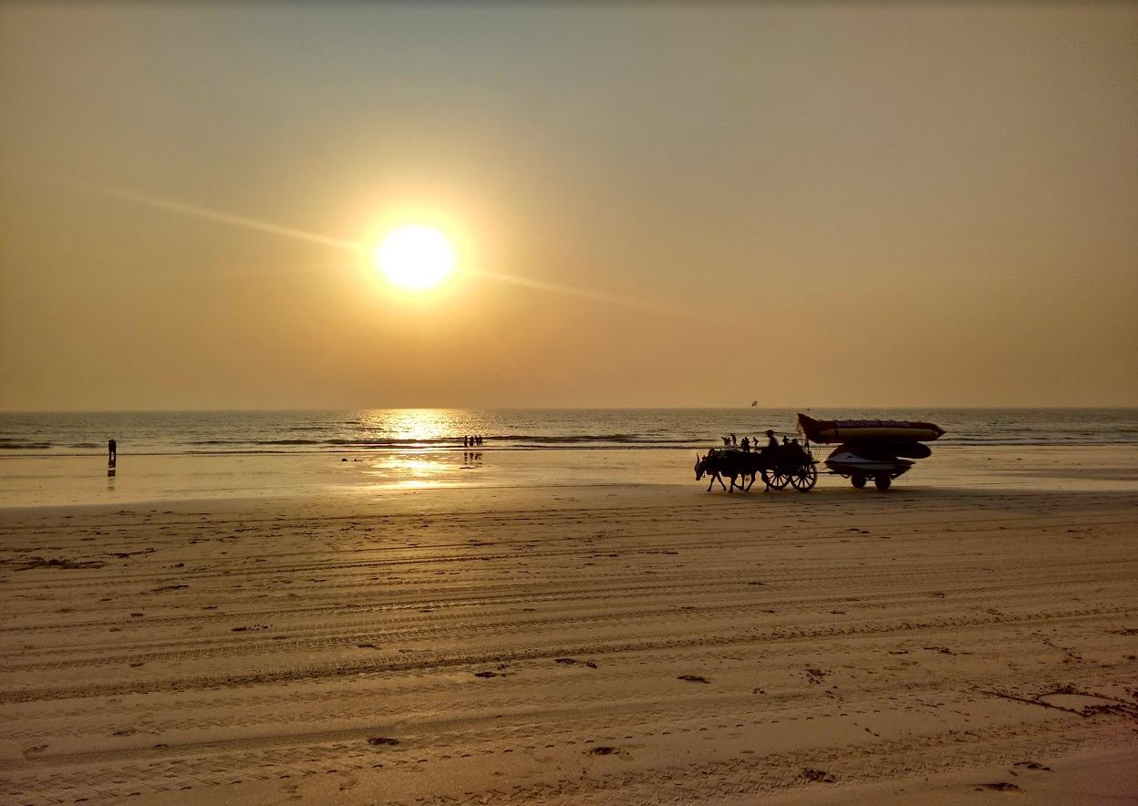 Bullock cart crossing a sunlit beach at sunset