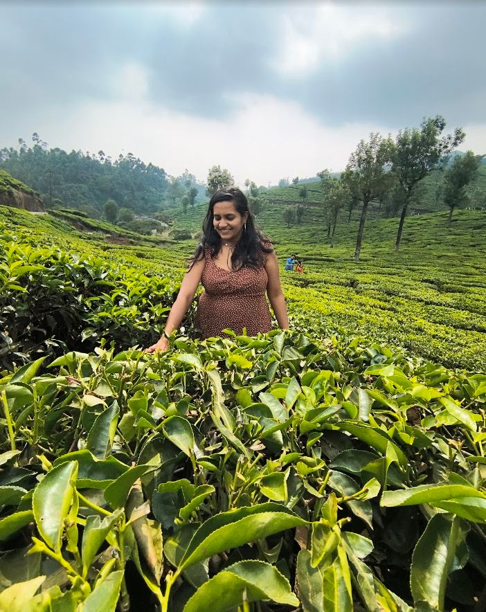 Woman standing among vivid green tea fields